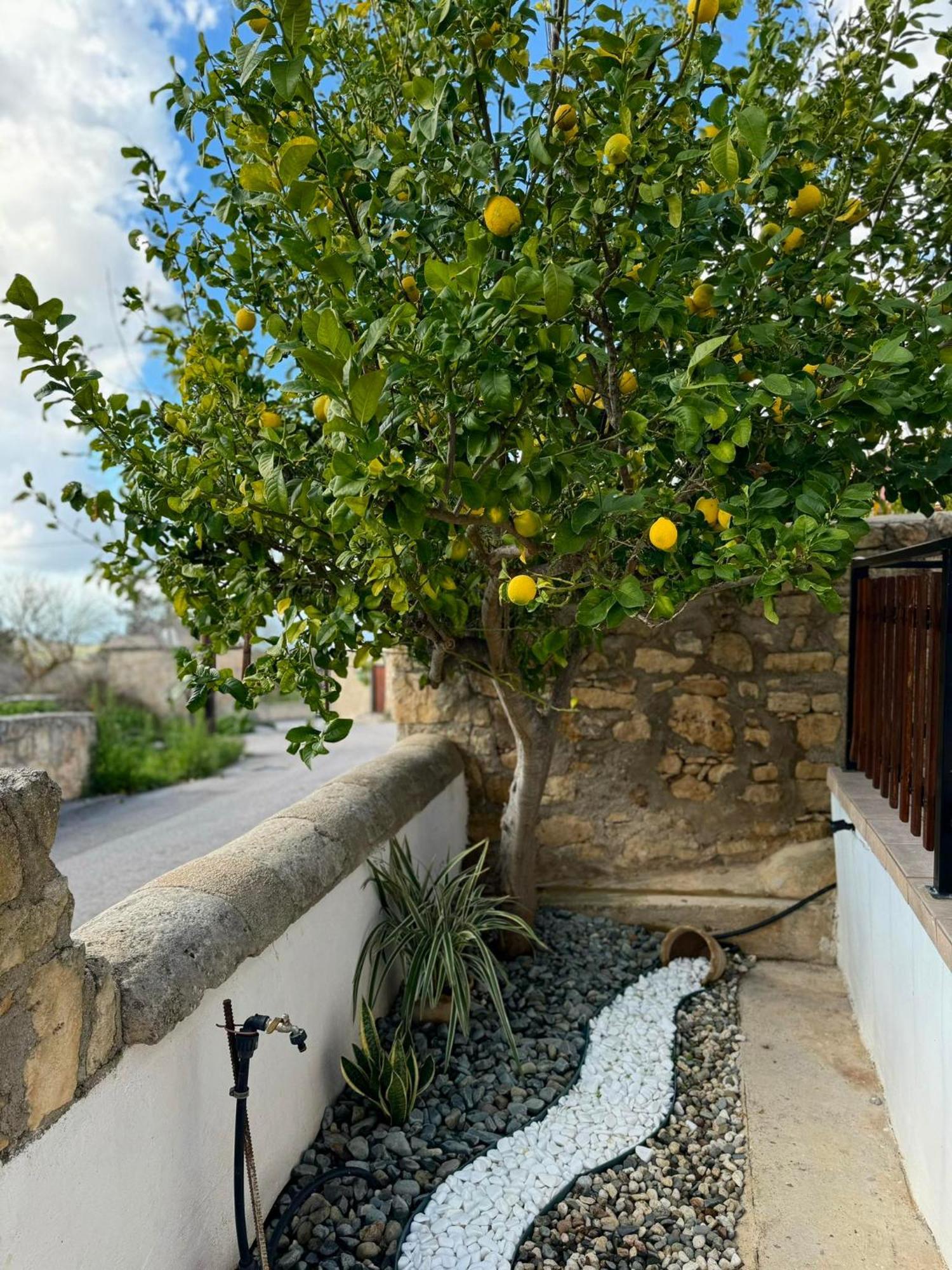 Mariarodes House Pano Arodes Exterior foto